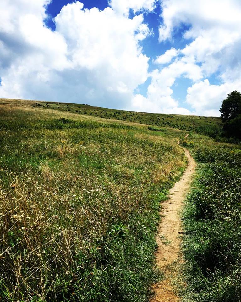 14159663_1182089921863246_1073681393_n