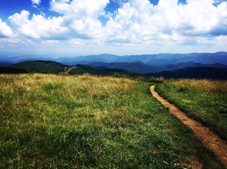 14159770_1182089858529919_1426869939_n