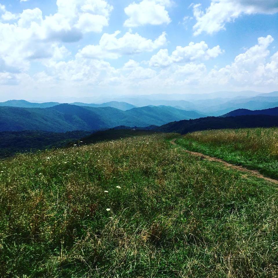 14171836_1182089825196589_226939163_n