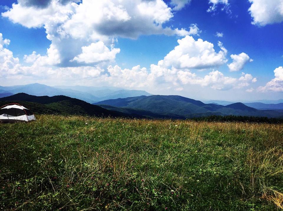 14182524_1182089901863248_961207814_n