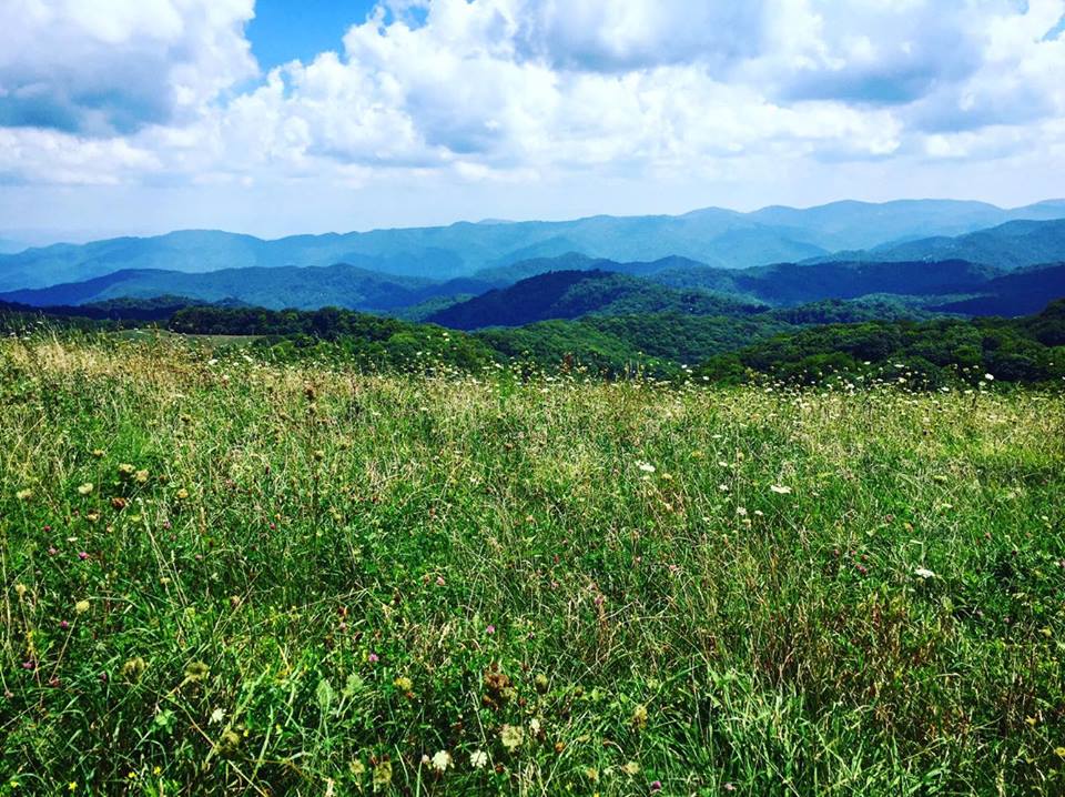 14182529_1182089868529918_14446238_n