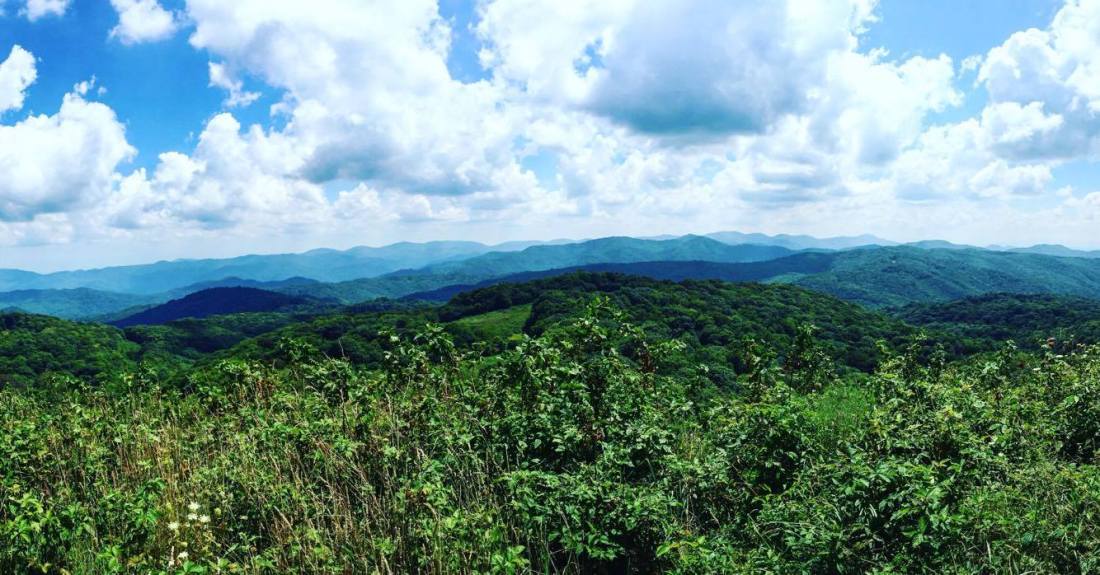 14191866_1182089905196581_230424882_o